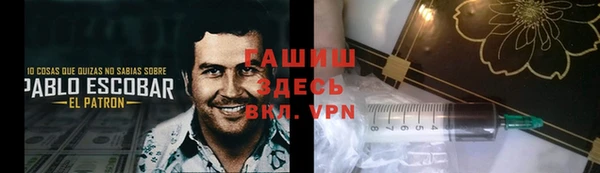 шишки Алексин