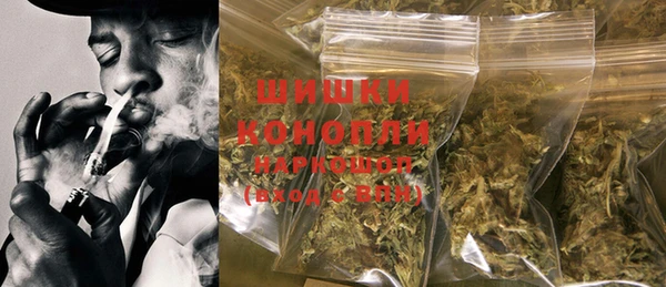 шишки Алексин
