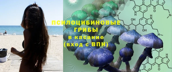 твердый Алзамай