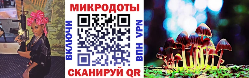 Галлюциногенные грибы MAGIC MUSHROOMS  как найти   Липки 